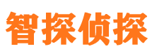 碌曲市婚外情调查